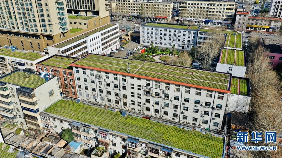 【城市遠洋】【焦點圖-大圖】【移動端-輪播圖】平頂山市：“空中綠地”節地又環保
