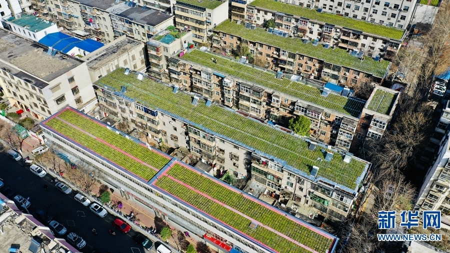 【城市遠洋】【焦點圖-大圖】【移動端-輪播圖】平頂山市：“空中綠地”節地又環保