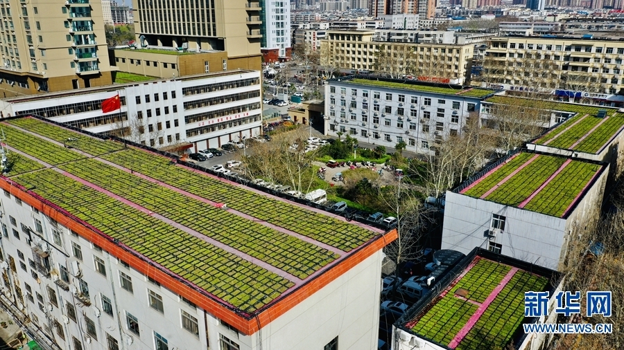 【城市遠洋】【焦點圖-大圖】【移動端-輪播圖】平頂山市：“空中綠地”節地又環保