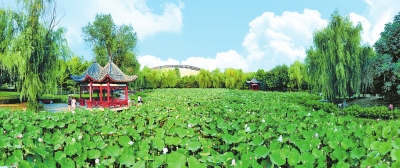 南陽：生態宜居家園美 不負夏日好時光