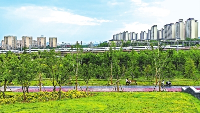 【中原名景-圖片】鄭州鄭東新區高鐵公園綠色綻放