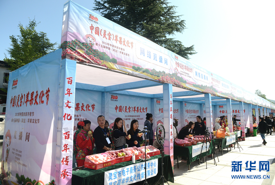 河南靈寶：小蘋果助農搭上“致富快車”