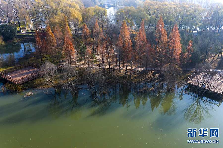 平頂山：白龜湖畔景色美
