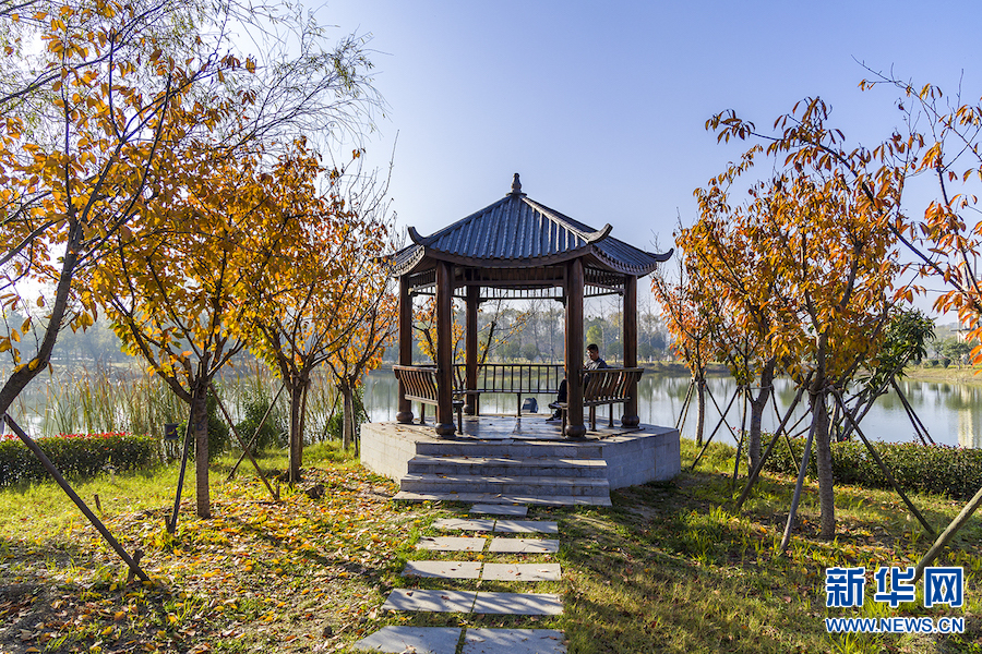 平頂山：白龜湖畔景色美