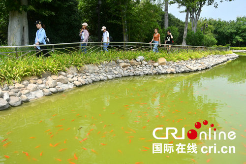 【河南原創】 2019“老家河南媒體·南召采風行”走進南陽市南召縣玉蘭小鎮