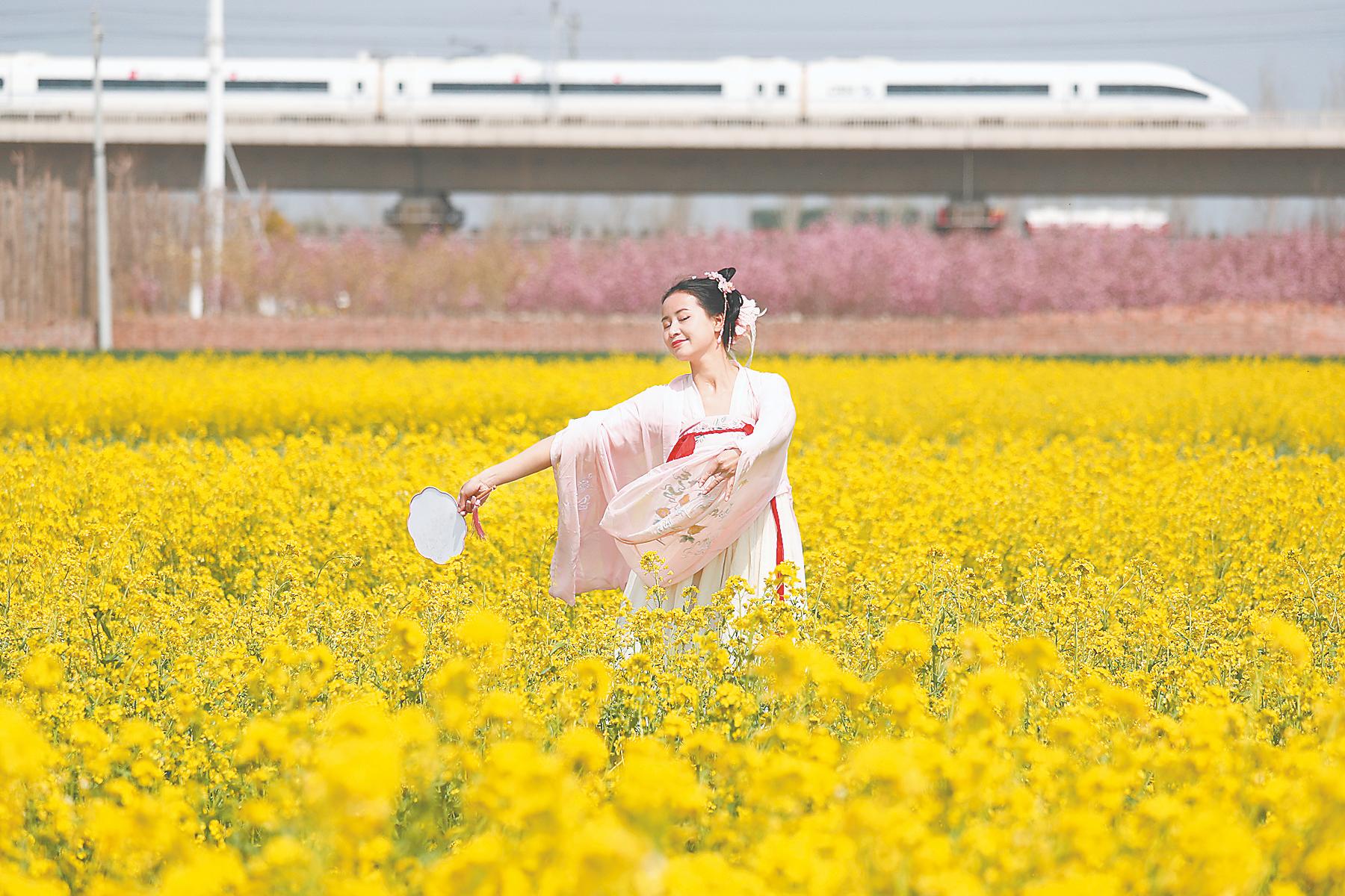 開封春景 美不勝收