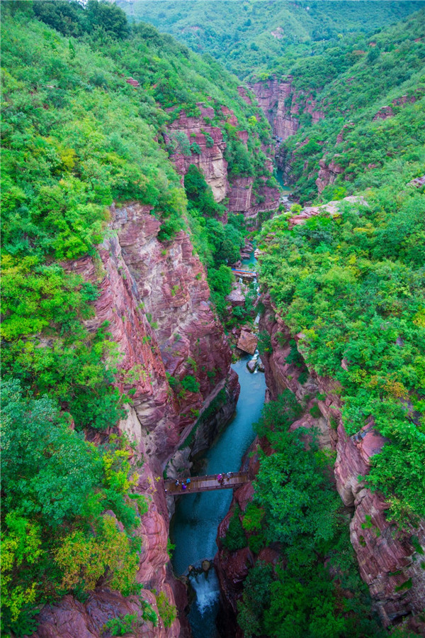 雲臺山景區重開園 萬畝花海盛放迎賓_fororder_微信圖片_20220425104604