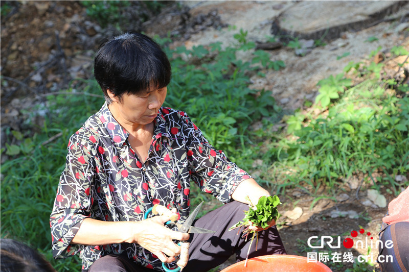 （有修改）【A】 已刪圖【河南人的一天·第10期】返鄉創業大學生雷德華：花開四載 無悔韶華