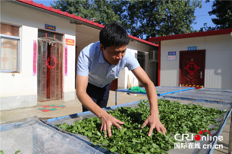 （有修改）【A】 已刪圖【河南人的一天·第10期】返鄉創業大學生雷德華：花開四載 無悔韶華