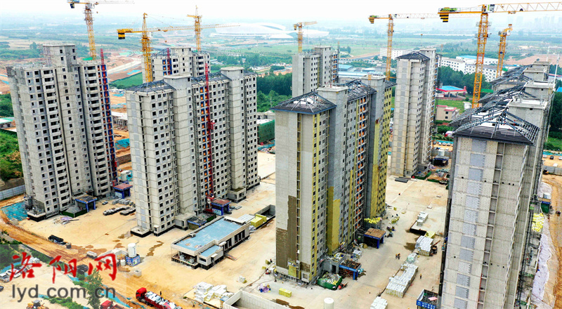 洛陽市伊濱區人才公寓項目加緊推進