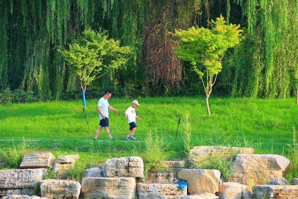 鐵塔公園遊玩賞景