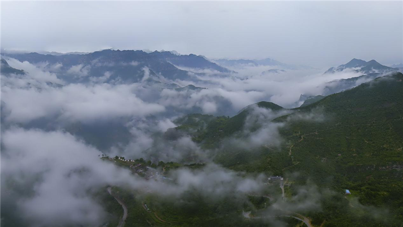 安陽林州：雨後太行山 雲海美如畫_fororder_圖片13