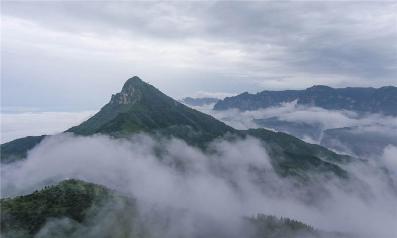 安陽林州：雨後太行山 雲海美如畫_fororder_圖片11