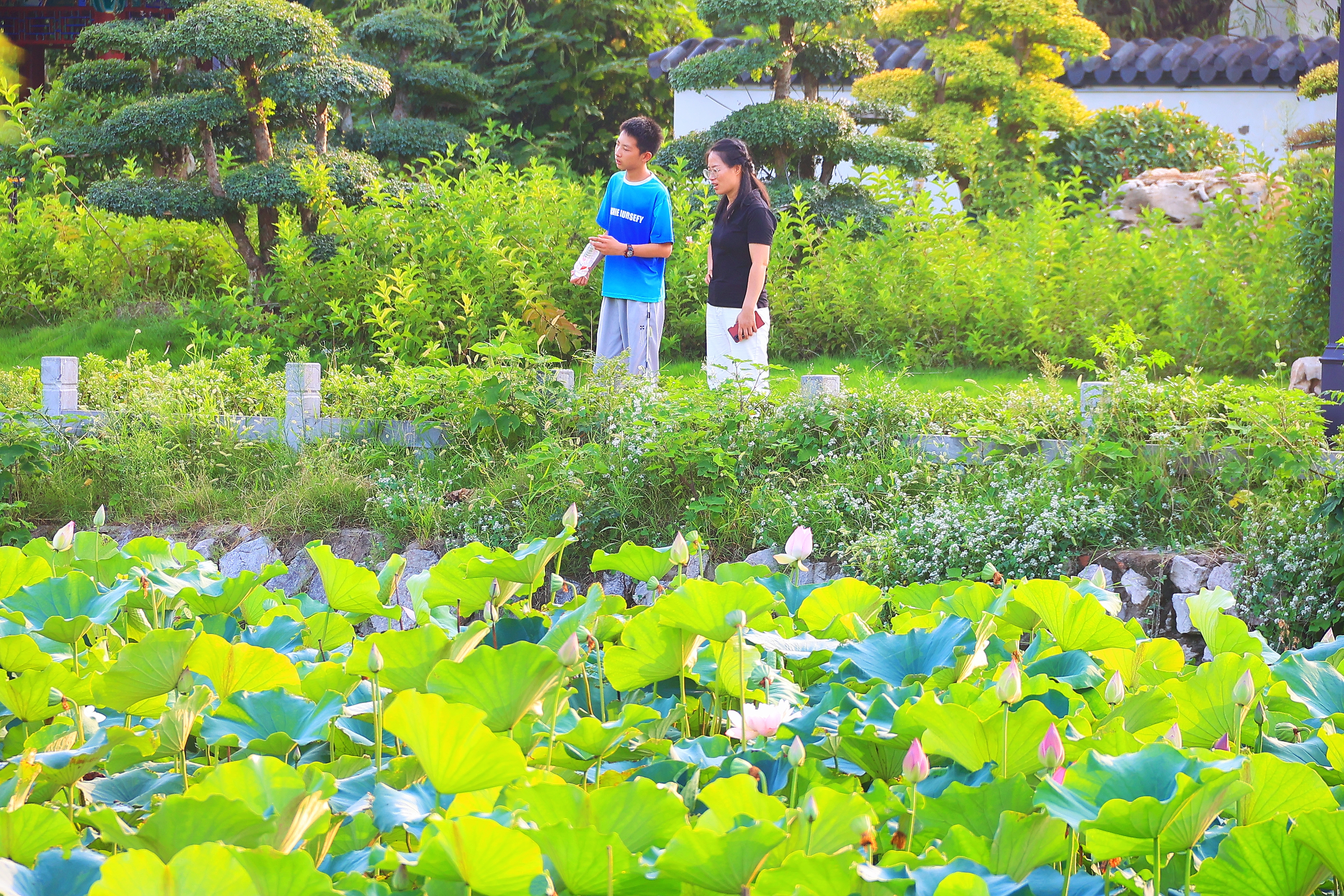 鐵塔公園遊玩賞景