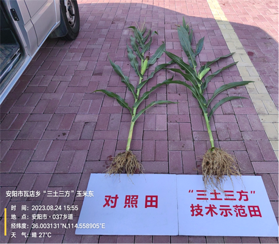 【解讀中原糧倉的密碼】週口西華：看中國治土經驗_fororder_圖片1_副本