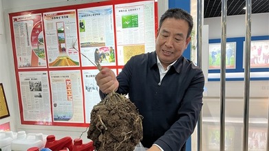 【解讀中原糧倉的密碼】週口西華：看中國治土經驗