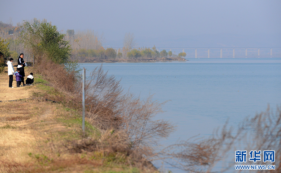 河南洛陽：黃河廊道“串起”生態美景