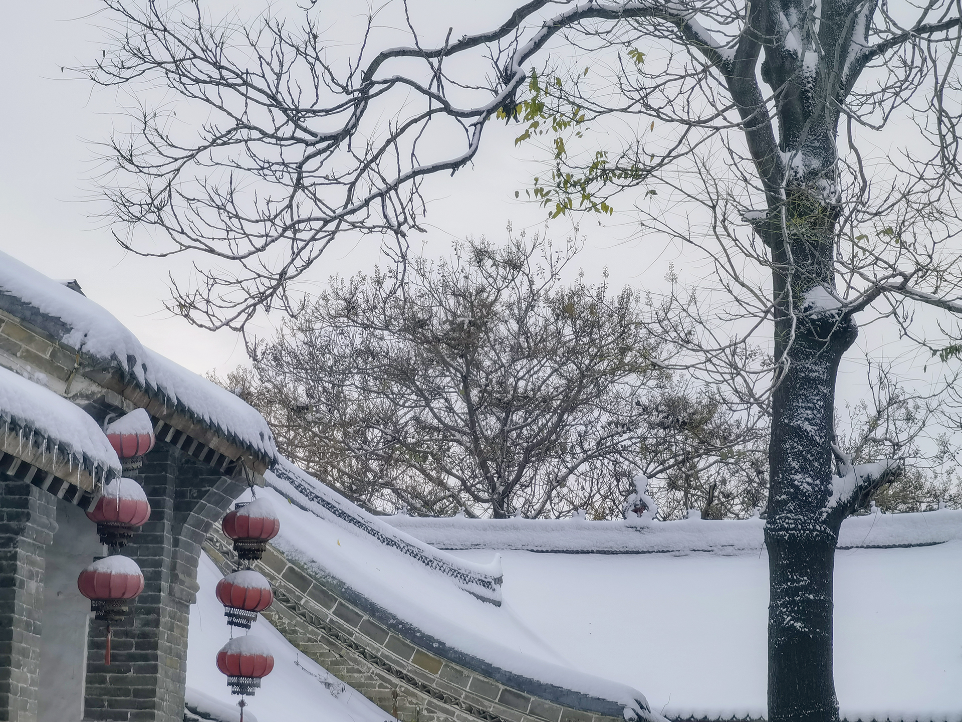 飛雪落成詩 一秒入仙境！雪後河南 美出“天際”