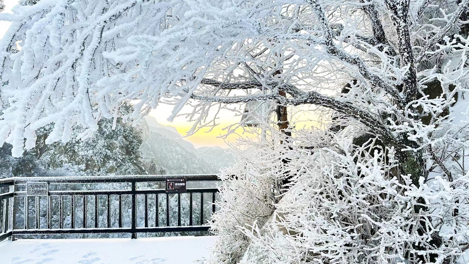 飛雪落成詩 一秒入仙境！雪後河南 美出“天際”