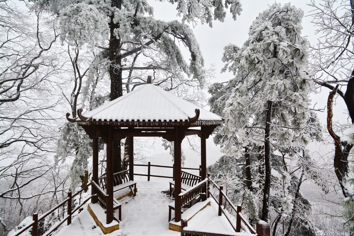飛雪落成詩 一秒入仙境！雪後河南 美出“天際”
