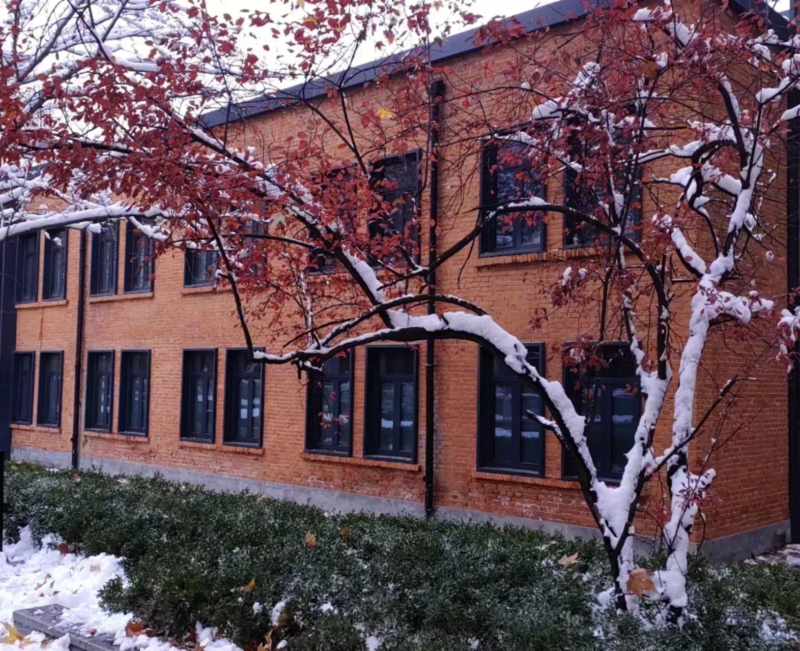 飛雪落成詩 一秒入仙境！雪後河南 美出“天際”