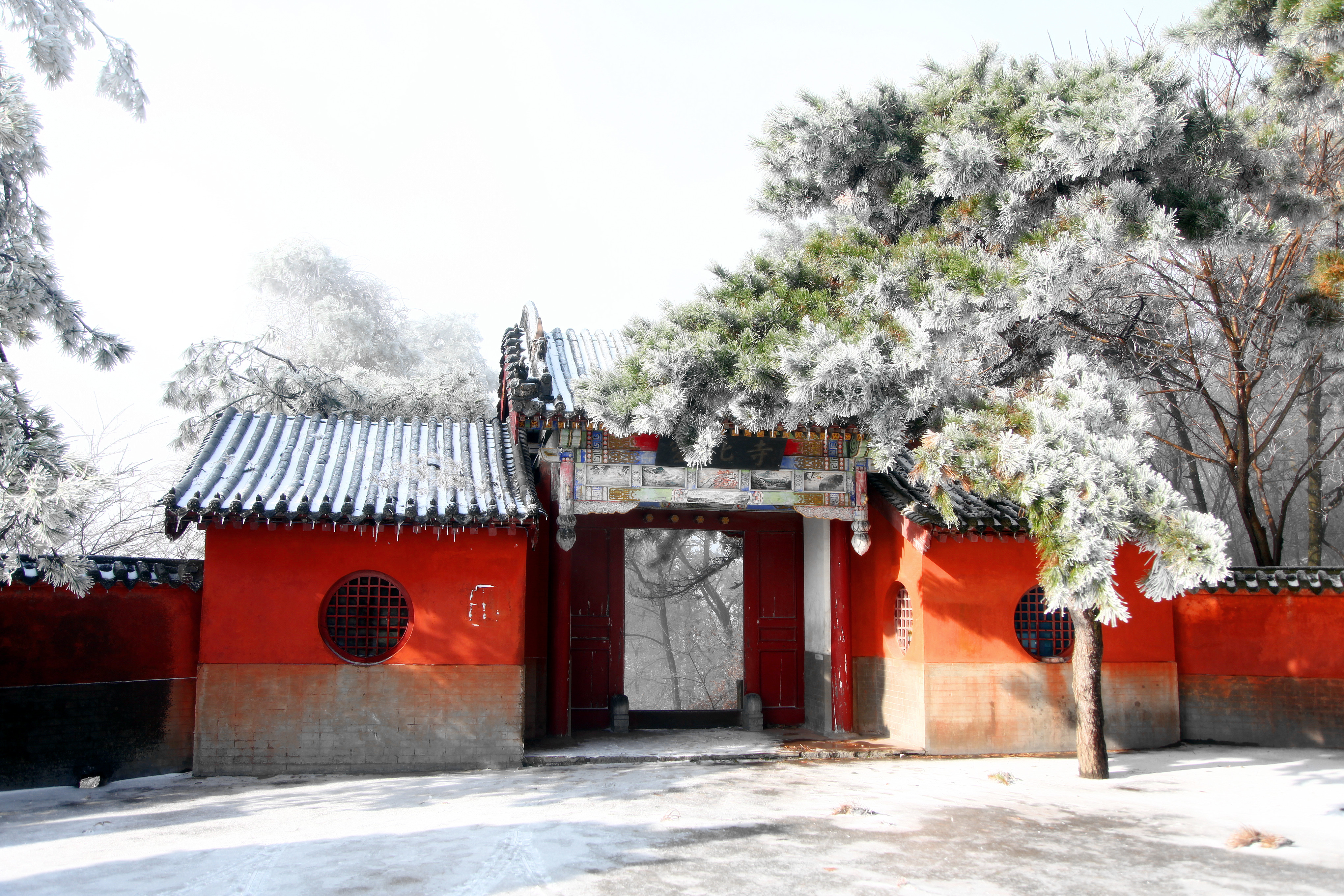 飛雪落成詩 一秒入仙境！雪後河南 美出“天際”