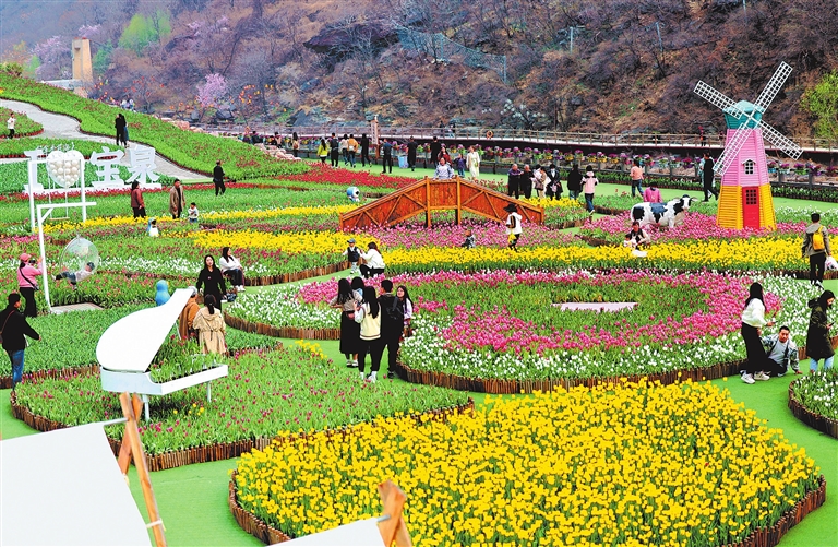 太行深處春芳菲
