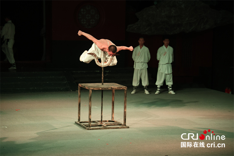 多國駐華外交官參訪少林寺_fororder_圖片11