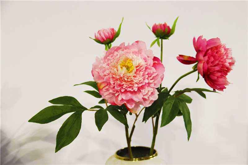 南陽社旗：防真花花香海外_fororder_芍藥倣真花.JPG