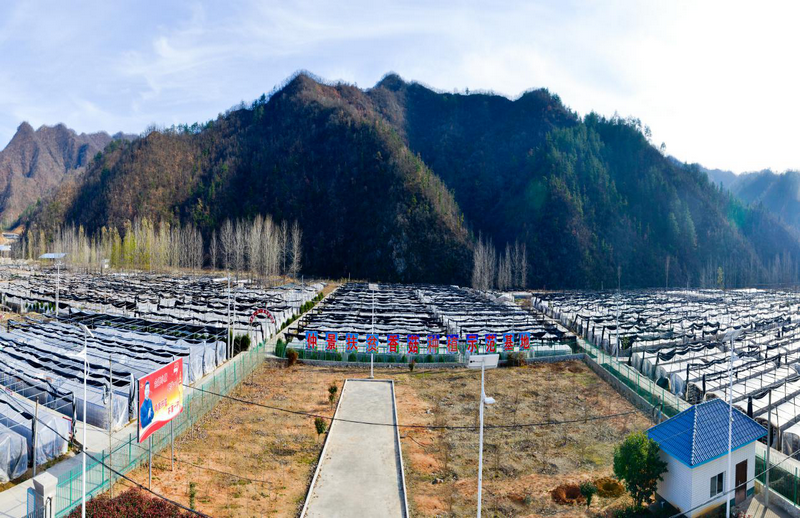 急稿【豫見國際·52期】仲景食品通過“大考” 獲評農業産業化國家重點龍頭企業