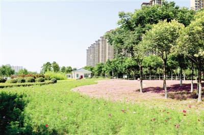 【中原名景-圖片】鄭州高新區 處處是美景