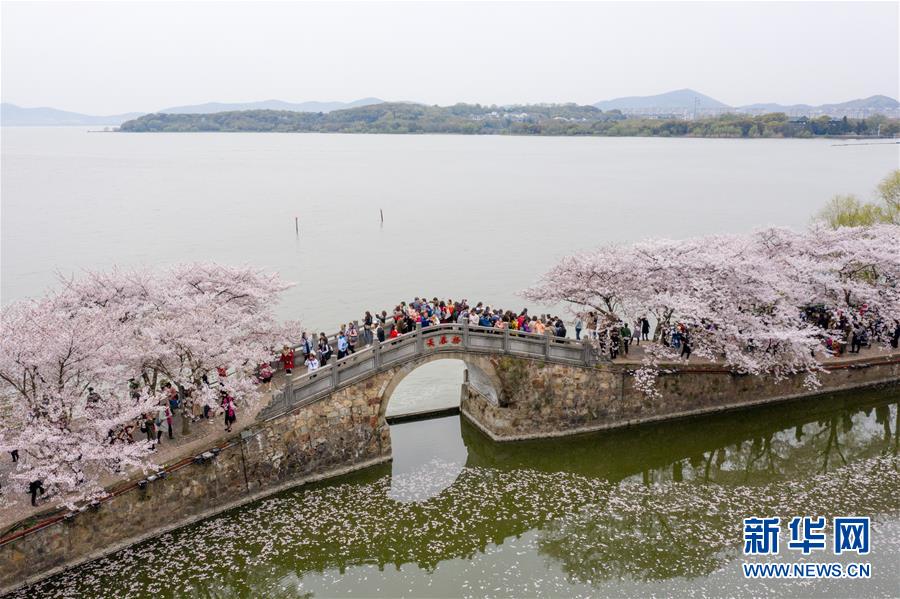 大湖見證——長三角三大淡水湖綠色發展之路