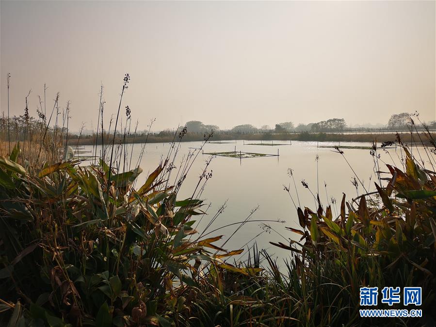 大湖見證——長三角三大淡水湖綠色發展之路