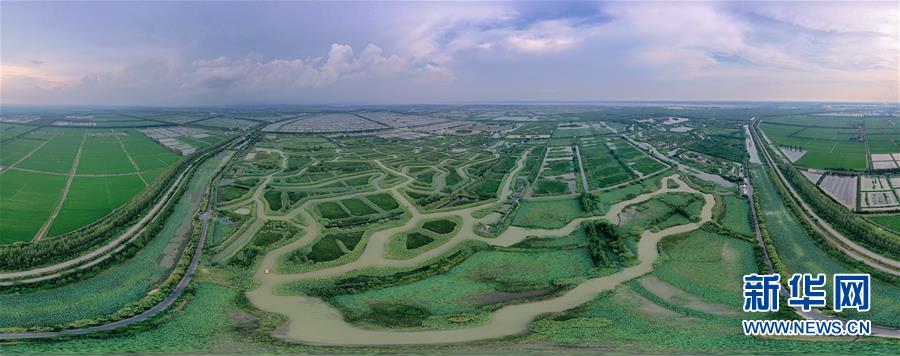 大湖見證——長三角三大淡水湖綠色發展之路