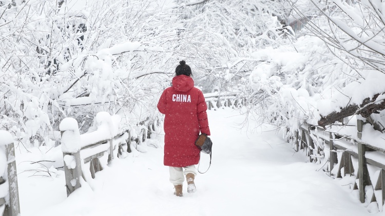 想感受真正的林海雪原，來老裏克湖！