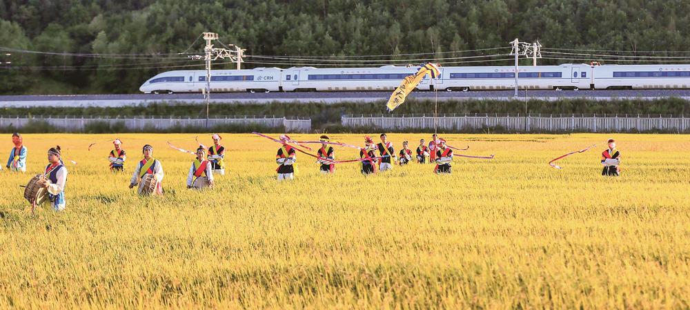 吉林大地豐收季：遍地金黃靚麗秋