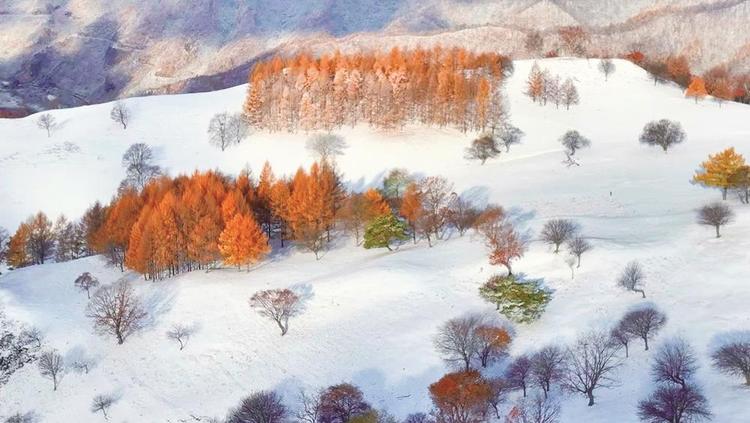 長白縣金華鄉高山草原初雪