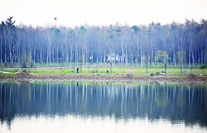 長春南湖公園景色宜人