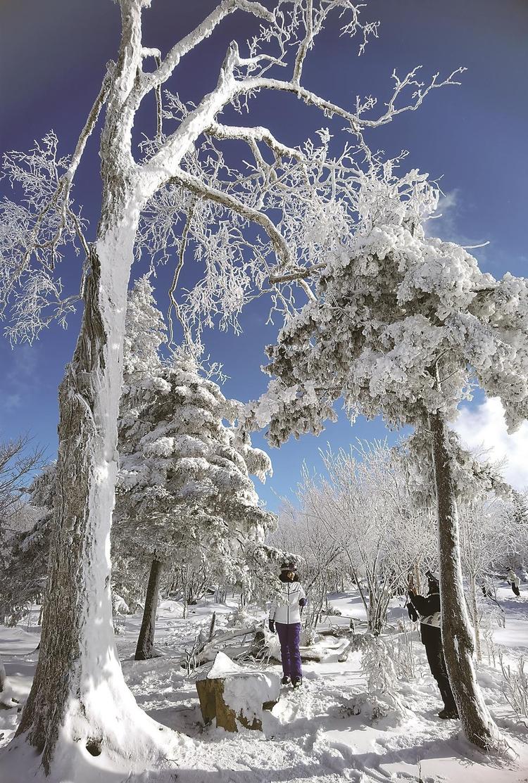 吉林：激情燃冬，熱雪沸騰