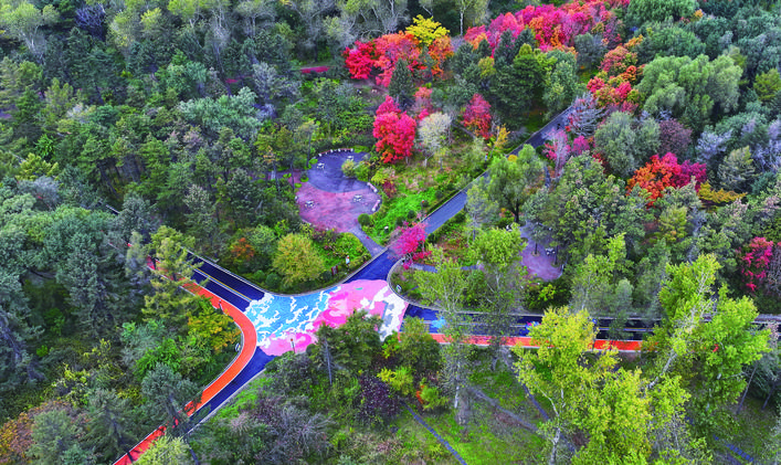 長春南湖公園：浪漫綠道一路詩情畫意