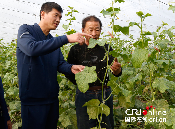 07【吉林】【供稿】【CRI看吉林（標題）】【關東黑土（延邊）】【移動版（圖）】【專訪】延邊州延吉市依蘭鎮平安村駐村“第一書記”母龍廣：讓貧困村發生天翻地覆的變化