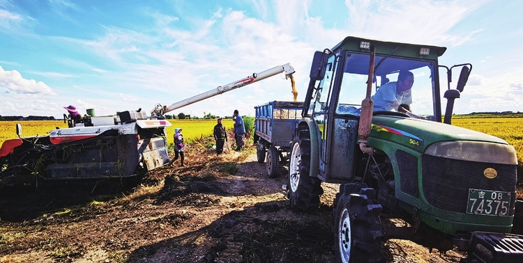 為了大地的豐收——白城市糧食生産綜述