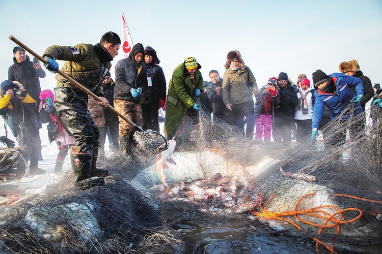 一湖碧水 一座金山——查幹湖紮實走好保護生態和發展生態旅遊相得益彰之路紀實