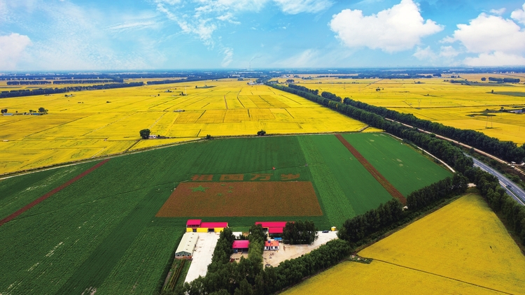 為了大地的豐收——白城市糧食生産綜述