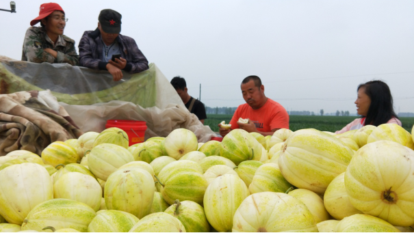 鎮賚：從“要你脫貧”到“我要致富”