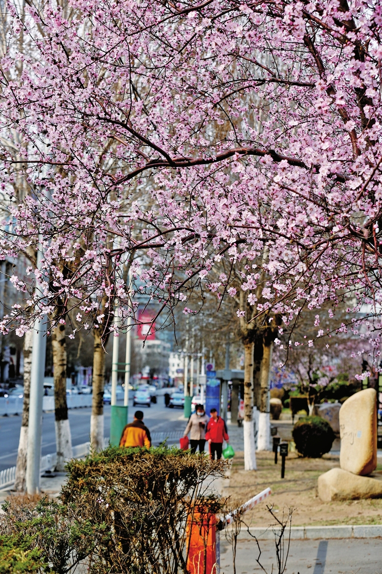 塑文明新風 鑄城市之魂——延吉市創建全國文明城市紀實