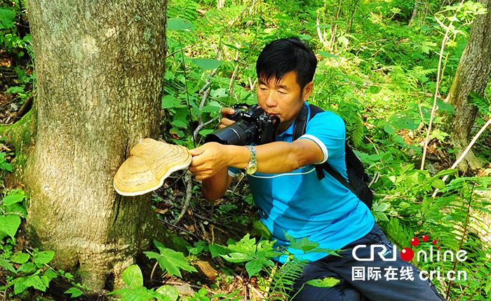 10【吉林】【原創】【CRI看吉林（標題）】【生態吉林（標題）】【關東黑土（通化）】【移動版（圖）】慶祝改革開放40週年系列報道（吉林篇）之二十七：《東北樹木彩色圖志》是中國第一部系統研究東北地區野生木本植物專著