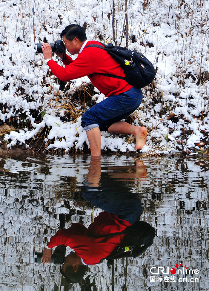 10【吉林】【原創】【CRI看吉林（標題）】【生態吉林（標題）】【關東黑土（通化）】【移動版（圖）】慶祝改革開放40週年系列報道（吉林篇）之二十七：《東北樹木彩色圖志》是中國第一部系統研究東北地區野生木本植物專著