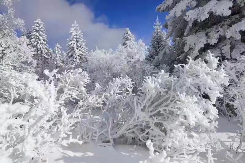 吉林安圖老嶺雪鄉起歡聲