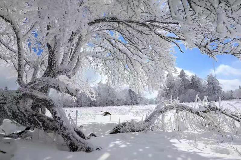 吉林安圖老嶺雪鄉起歡聲